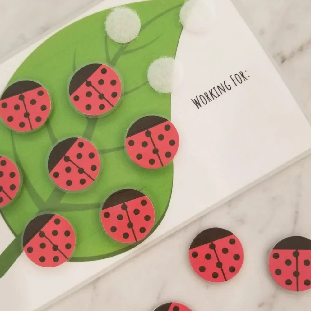 Lady Bug Reward Chart, Token Board, Chore Chart